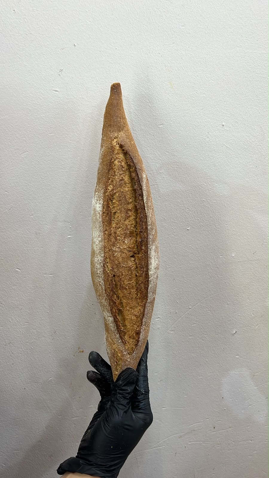 Fibre