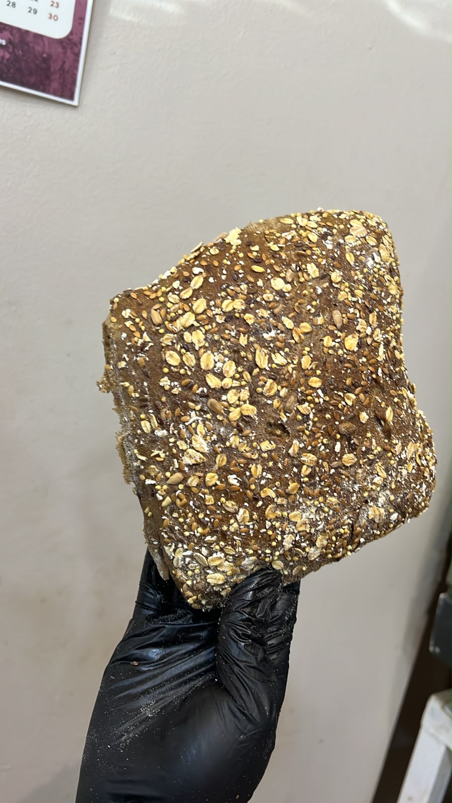Pain chia