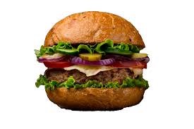 Burger Solo Sans Frites