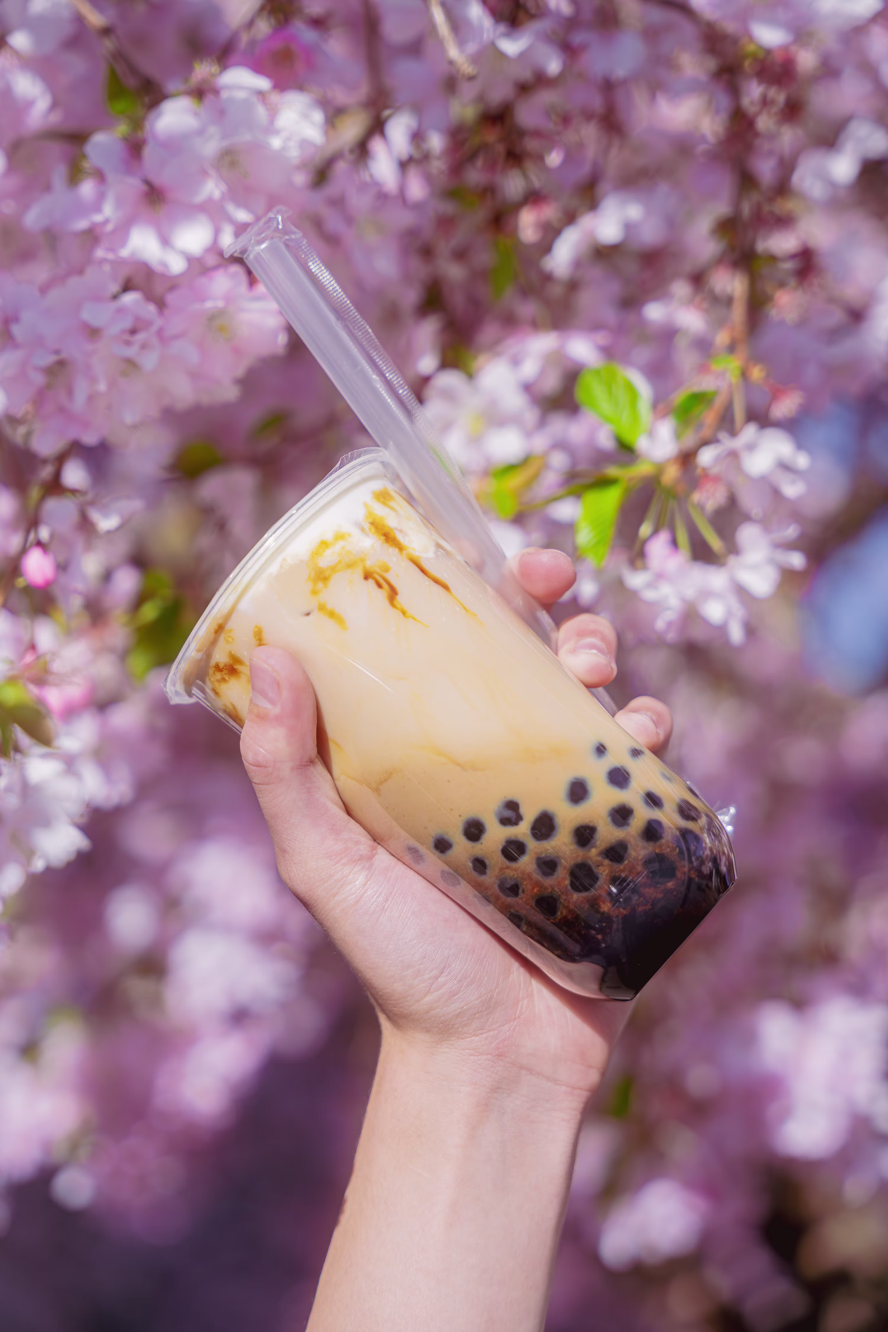 Bubble Tea